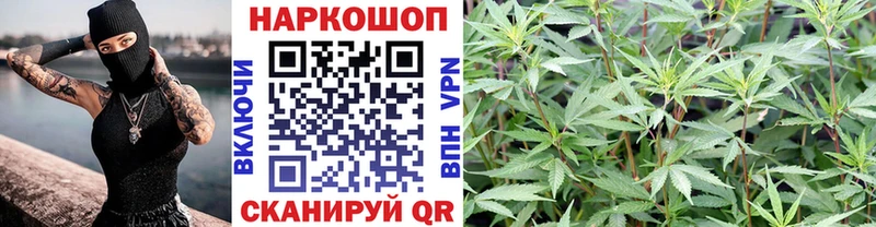 Купить закладку Cocaine  Меф  Галлюциногенные грибы  Альфа ПВП  МАРИХУАНА  ГАШ  Гуково
