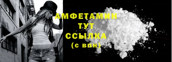 индика Вязники