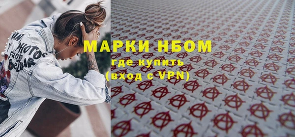 индика Вязники