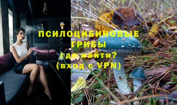 индика Вязники