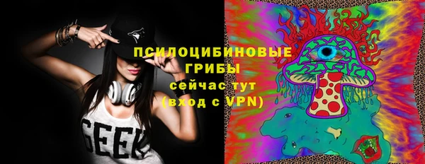 индика Вязники