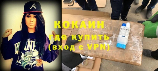 индика Вязники